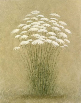 Framed Floral D Print