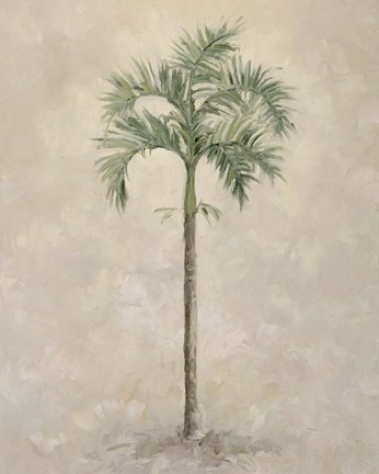 Framed Palm Tree 4 Print