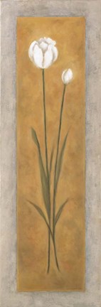 Framed Tall White Tulip Print