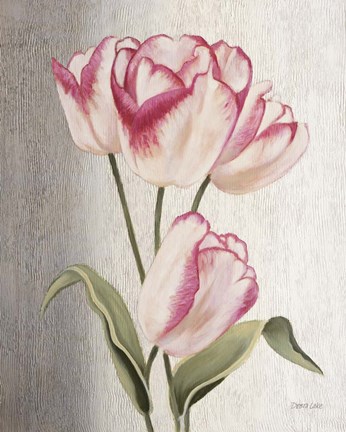 Framed Parrot Tulips Print