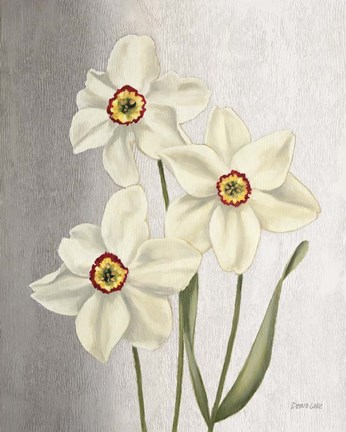 Framed Spring Narcissus Print
