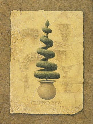 Framed Clipped Yew Print