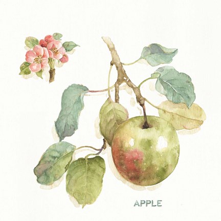 Framed Orchard Bloom I Print