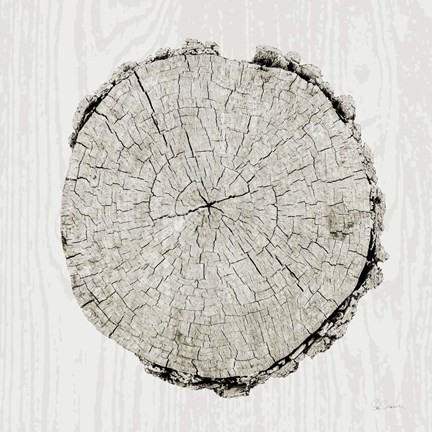 Framed Woodland Years II Print