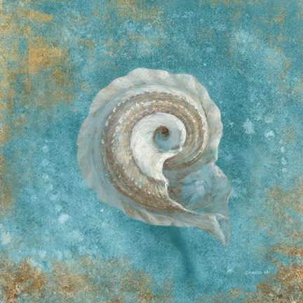 Framed Treasures from the Sea III Aqua Print
