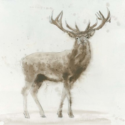 Framed Stag Print