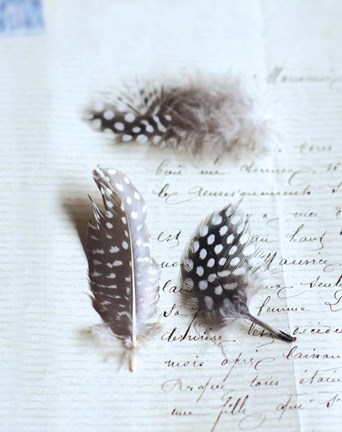 Framed Plume Letters VI Print