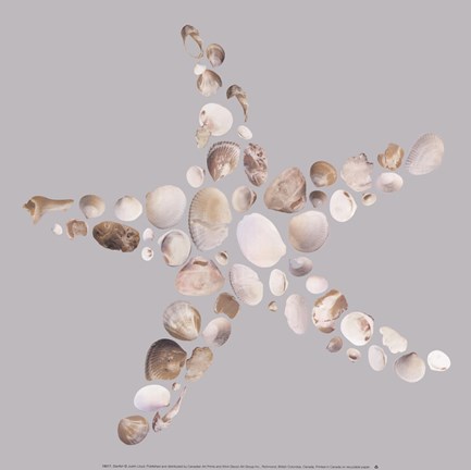 Framed Starfish Print