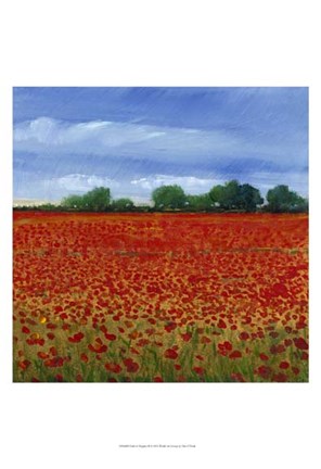 Framed Field of Poppies II Print
