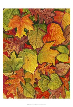 Framed Fallen Leaves II Print