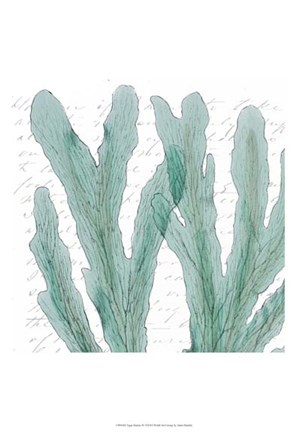 Framed Aqua Marine IV Print