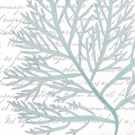 Framed Aqua Marine VI Print