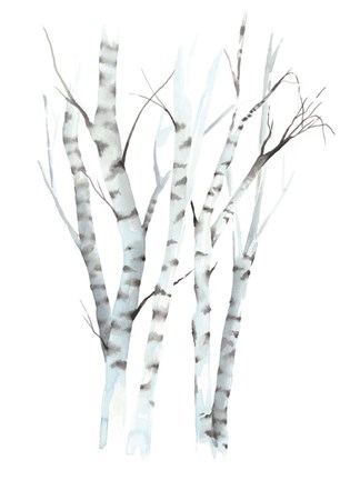 Framed Aquarelle Birches II Print