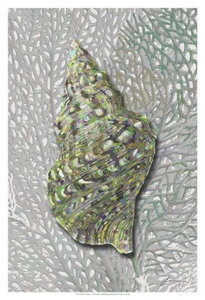 Framed Hifi Triton I Print