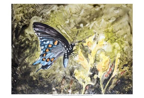 Framed Butterfly in Nature I Print