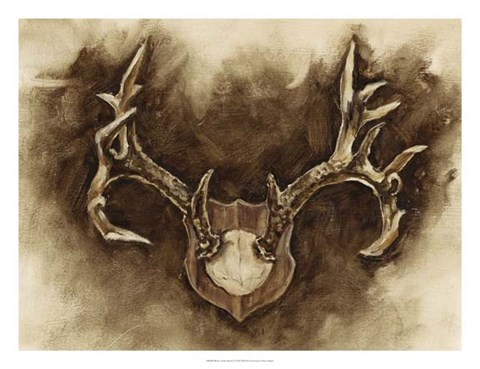 Framed Rustic Antler Mount I Print