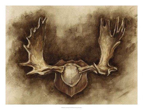 Framed Rustic Antler Mount II Print