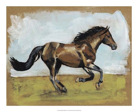 Framed Equestrian Studies I Print