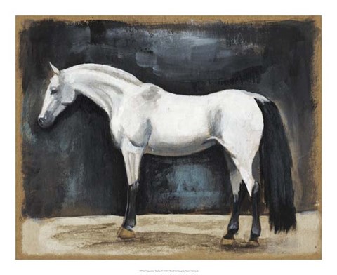 Framed Equestrian Studies VI Print