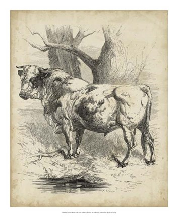 Framed Pastoral Sketch II Print