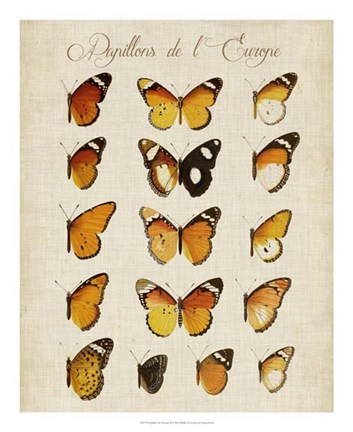 Framed Papillons de L&#39;Europe II Print