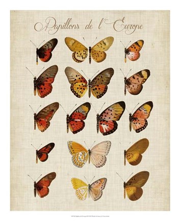 Framed Papillons de L'Europe III Print