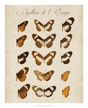 Framed Papillons de L&#39;Europe IV Print