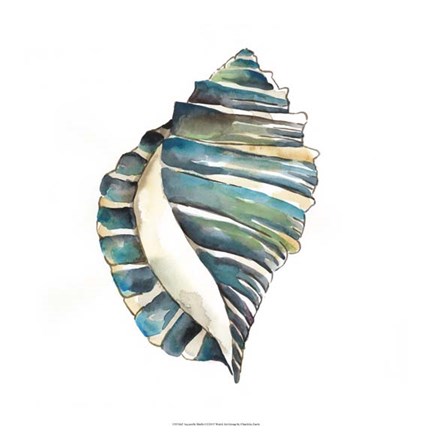 Framed Aquarelle Shells I Print