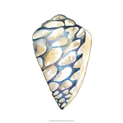 Framed Aquarelle Shells III Print
