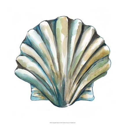 Framed Aquarelle Shells VI Print