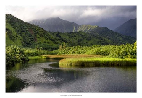 Framed Coastal Marsh V Print