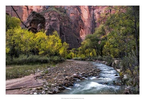 Framed Looking Upstream I Print
