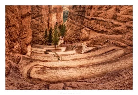 Framed Switchbacks Print