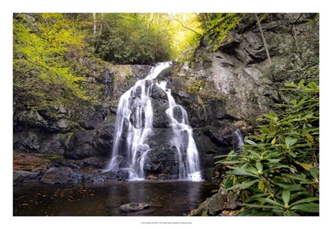 Framed Spruce Flat Falls Print