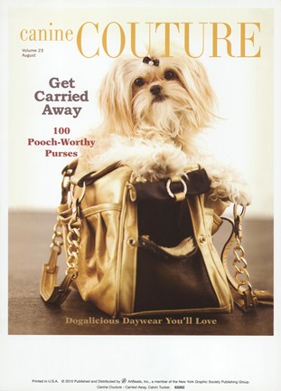 Framed Carried Away Print