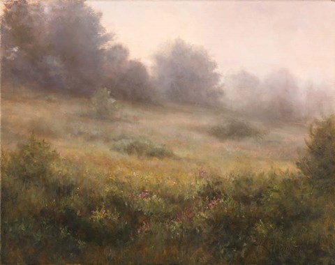 Framed Meadow In Mist Print
