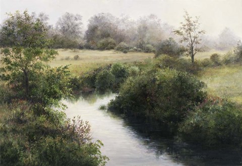 Framed Battenkill River Bank Print