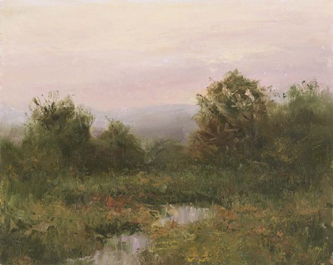 Framed Last Light Print