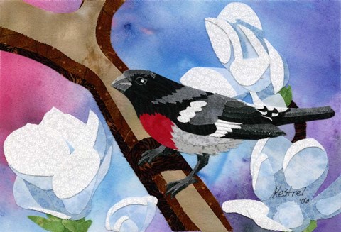 Framed Rose Breasted Grosbeak Print