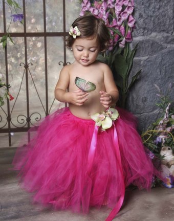 Framed Beauty and the Butterfly Print