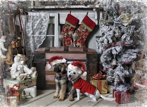 Framed Awaiting Santa Print