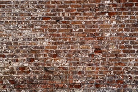 Framed Brick Wall Splattered with White Print