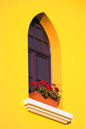 Framed Bright Yellow Wall with Red Flowers on Sill Print