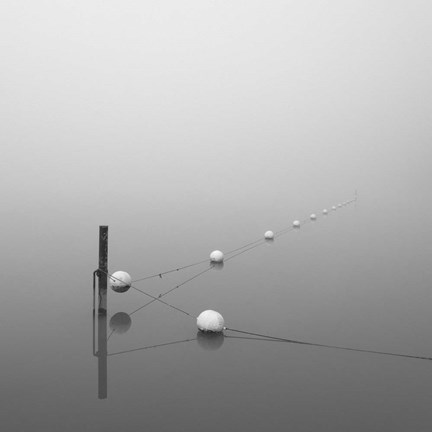 Framed Suspension Print