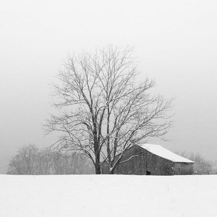 Framed Townsend Winter I Print