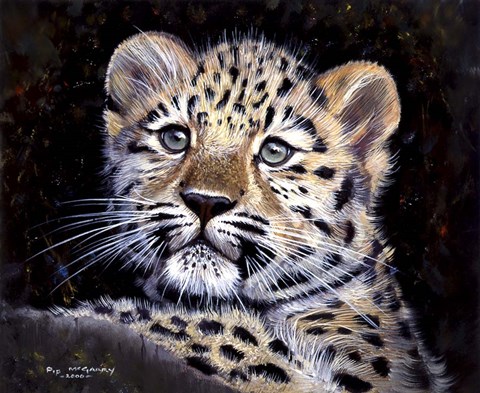 Framed Amur Leopard Cub Print
