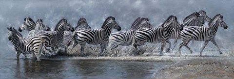 Framed Flight Of The Zebras Print