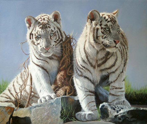 Framed White Tiger Cubs Playing Print