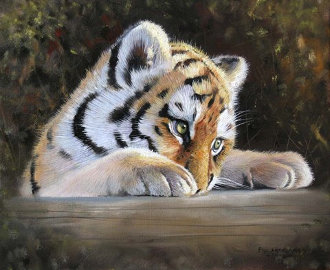 Framed Tiger Cub Face Print