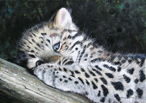Framed Amur Leopard Cub Print